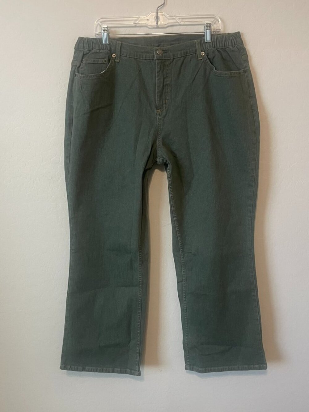 VINTAGE NWT DENIM & CO. OLIVE GREEN PANTS (P1X) (NWT)